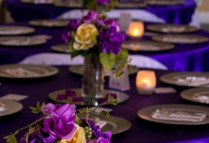 Metroplex Springdale